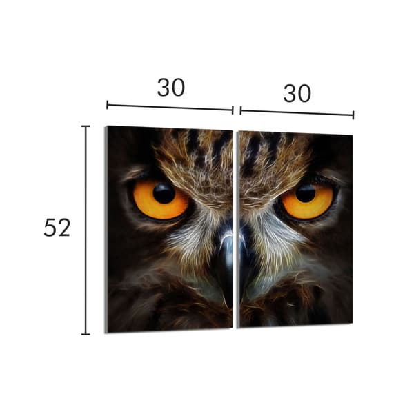 Lasinen suojalevy liedelle 2x30x52 Pöllö