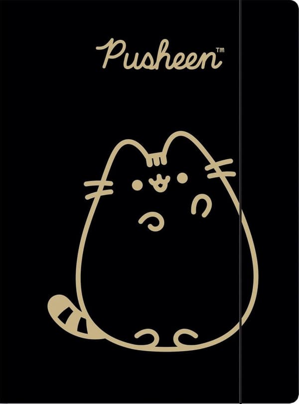 Pusheen A4 tegnemapp med gummiband kat