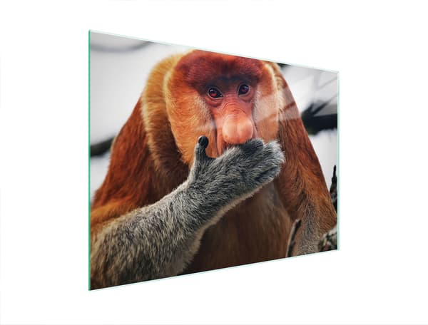 SKÄRBRÄDA I GLAS 40x30 NOSACZ