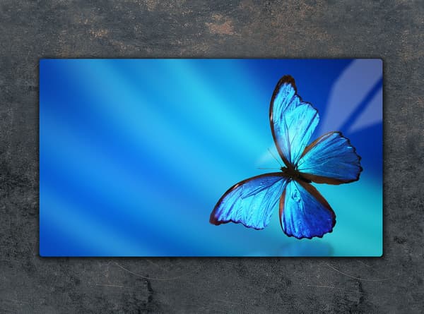 GLAS SKÆREBRÆT 52x30 BUTTERFLY