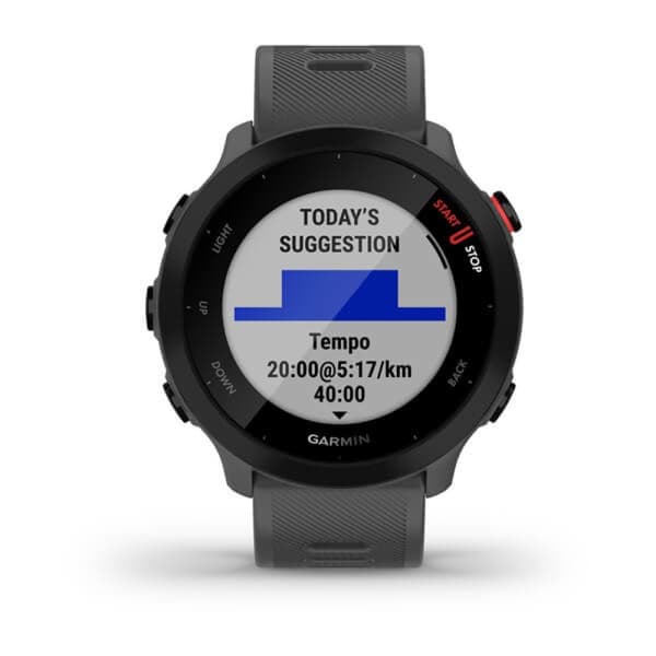 Garmin Forerunner 55 harmaa (010-02562-13)