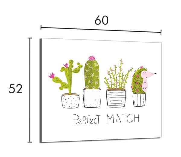 Glasskydd för spishäll 60x52 Cactus