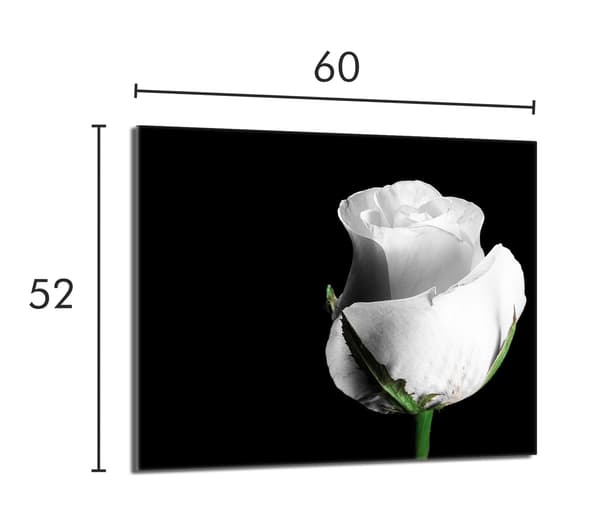 Lasinen suojalevy liedelle 60x52 Rose