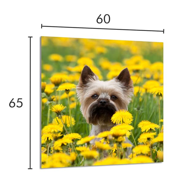 GLASPANEL TIL KØKKEN 60x65 Hund