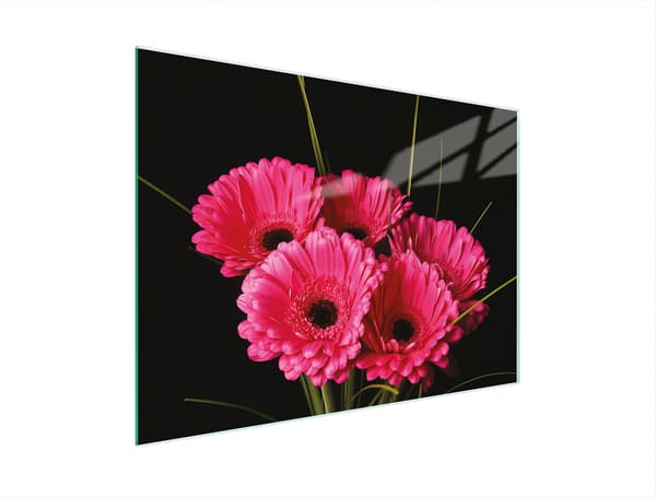 GLASSKÆREBRÆT 30x22 GERBERA