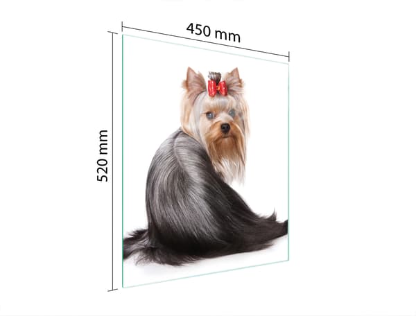 GLAS SKÄRBRÄDA 45x52 HUND