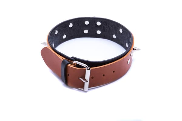 Herrhalsband med koppel, Cognac
