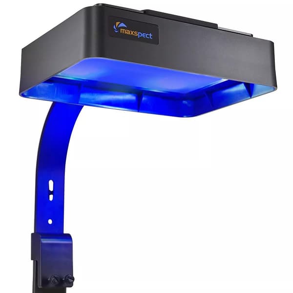 Maxspect MJ-L165 -hajotin