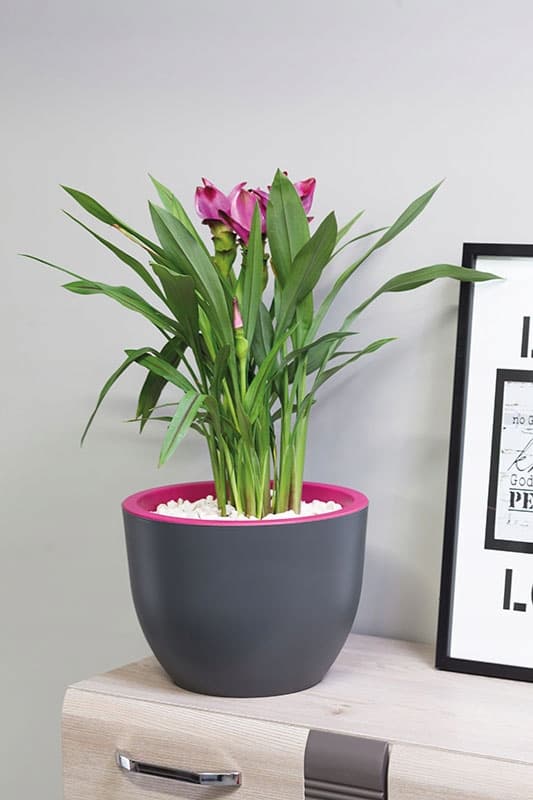 Muna 30 tvåfärgad rund blomlåda | Vit + cement