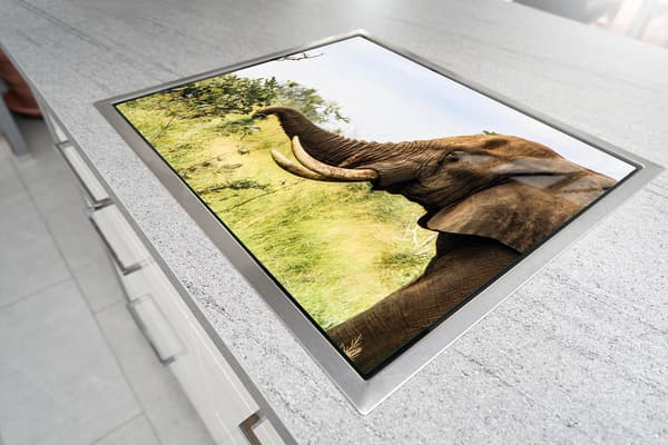 GLAS SKÆREBRÆT 52x30 ELEFANT