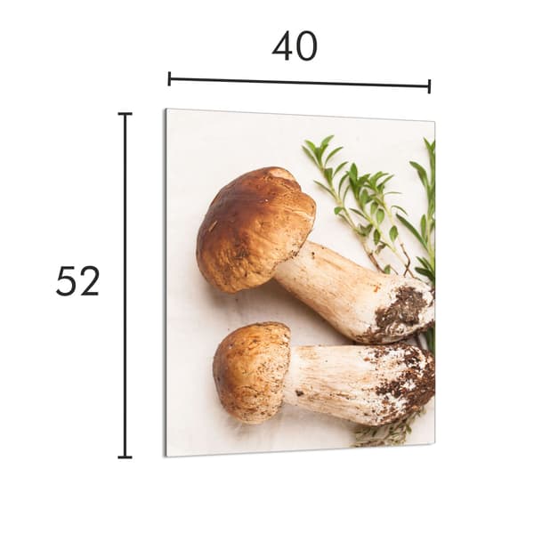SKÄRBRÄDA I GLAS 40x52 Svampar