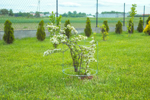 ELGarden blomsterstativ med hjul x2 60