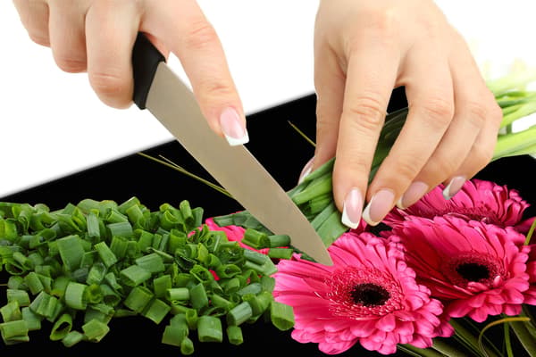 Glasbeskytter til komfur 80x52 Gerbera