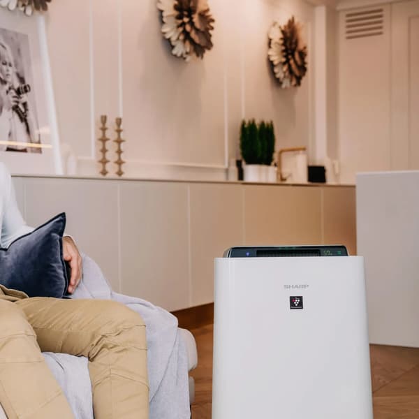 Ilmanpuhdistin kosteuttimella Sharp UA-HD50E-L