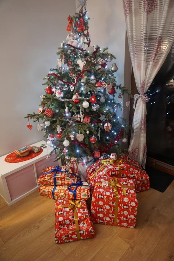 Litet trädgårdsredskapsset 1