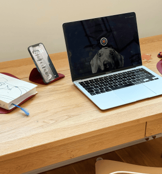 Organisator FLOW SET bordeaux stjerne