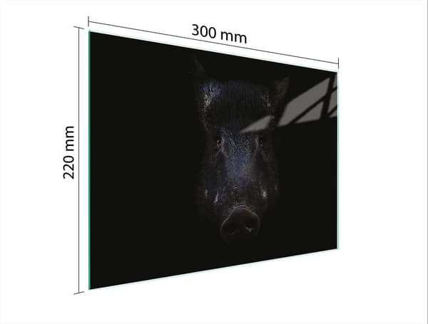 GLAS SKÄRBRÄDA 30x22 GRÄDDE