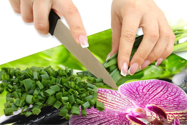 Glasbeskyttelsesplade til komfur 60x52 Orchidea