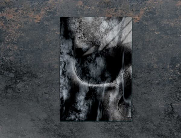 SKÄRBRÄDA I GLAS 35x52 SKALL