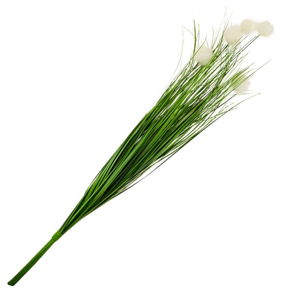 CV17489 TEKOAINEKOISPAMPURUOHO NIPUSSSA, KORISTE