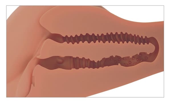 PDX Plus Torso Masturbator Roterende 360° Banger Tan