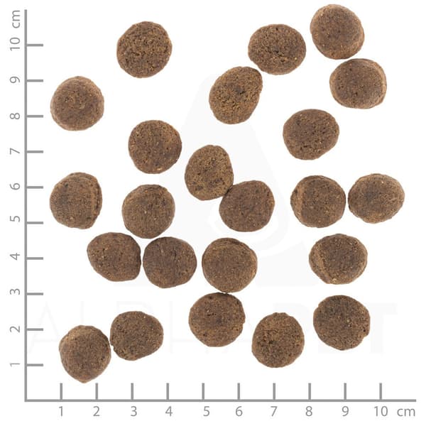 Torrfoder för hund WOLFSBLUT VETLINE GASTROINTESTINAL 12 kg