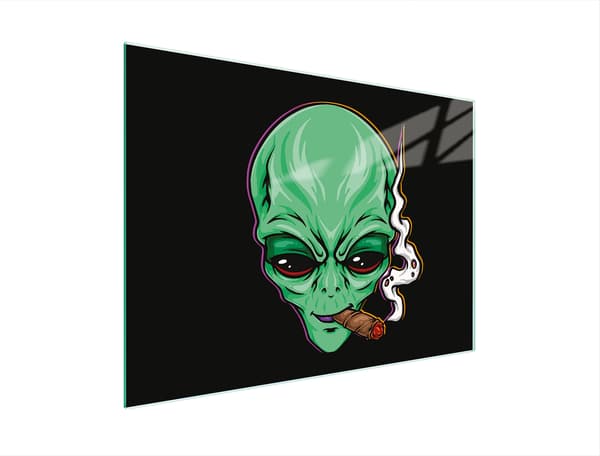 GLAS SKÄRBRÄDA 30x22 UFO