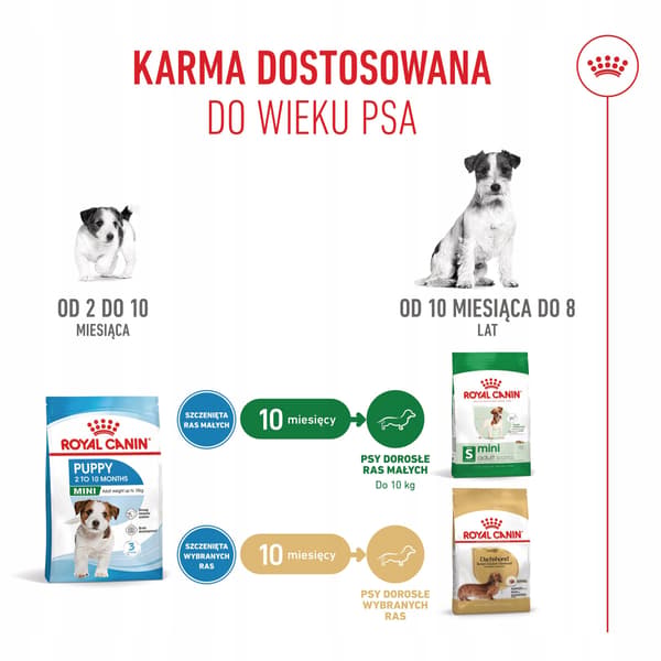 Royal canin shn mini puppy foder 8 kg