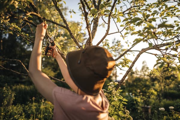 FISKARS PLUS Let enhåndssaks til havegrene og skud