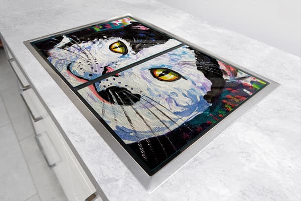 GLASBESKYTTELSESPLADE 75x52 KAT.