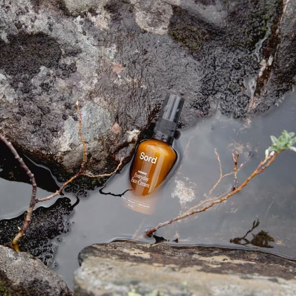 Dagcreme - Sord - 50ml