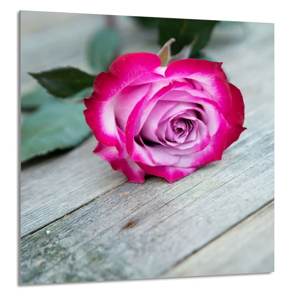 GLASPANEL TIL KØKKEN 60x65 Rosa