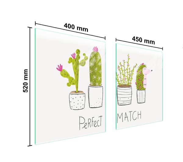 GLASSKYDDSPLÅT FÖR SPIS 85x52 CACTUS