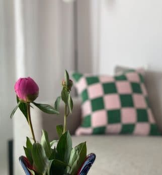 Tyyny Chess Vaaleanpunainen Vihreä