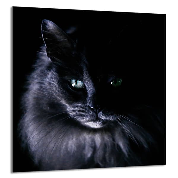 KEITTIÖN LASIPANEELI 60x65 Cat