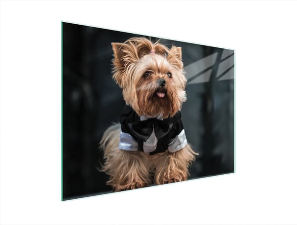 GLAS SKÆREBRÆT 40x30 HUND