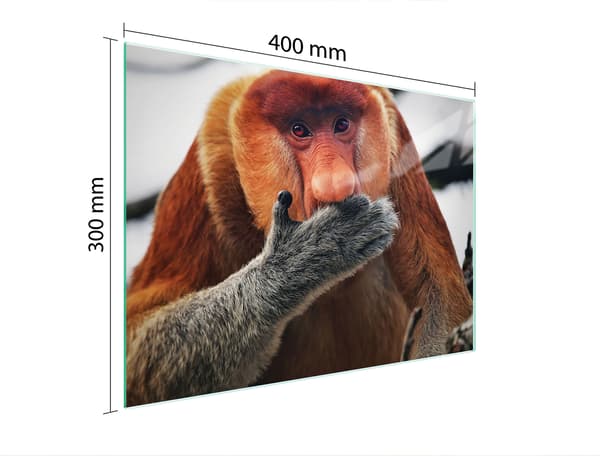 SKÄRBRÄDA I GLAS 40x30 NOSACZ