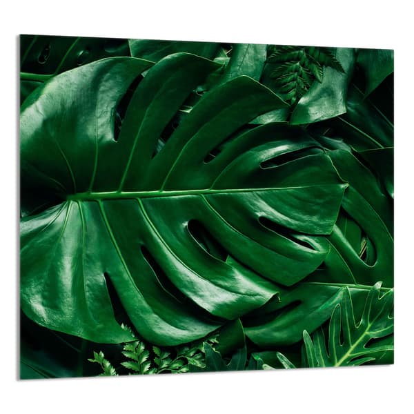 KEITTIÖN LASIPANEELI 65x60 Monstera