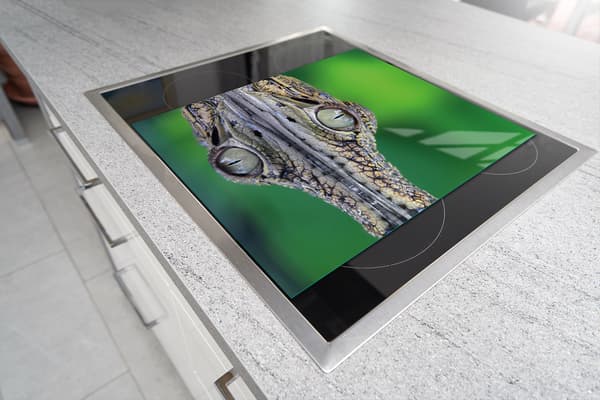 SKÄRBRÄDA I GLAS 45x52 KROKODIL