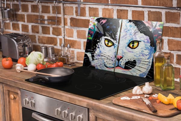 GLASBESKYTTELSESPLADE 75x52 KAT.