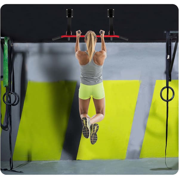 Takmonterad pull-up-stång NS-317