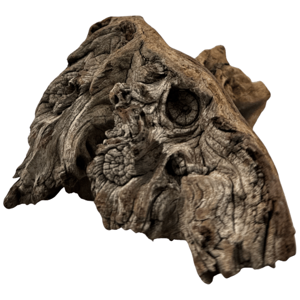 Mopani-rod 21-30 cm