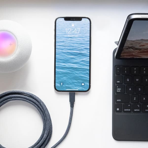Native Union bæltekabel XL - USB-C - lightning-kabel, 3 m (zebra)