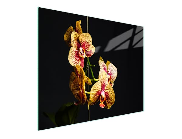SKÄRBRÄDA I GLAS 52x30 ORCHID