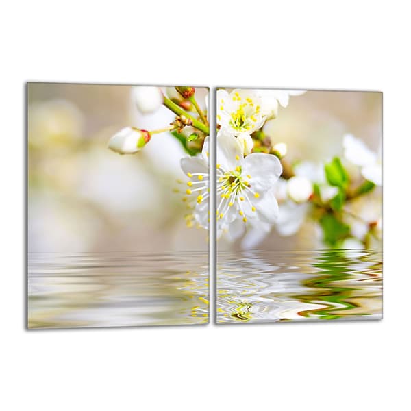Glasbeskyttelsesplade til komfur 2x40x52 Plum