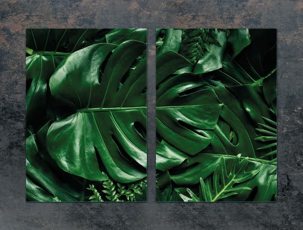 GLASBESKYTTELSESPLADE TIL KØKKEN 2x35x52 MONSTERA