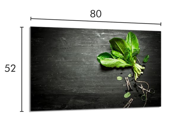 Glasskydd för spishäll 80x52 Basil