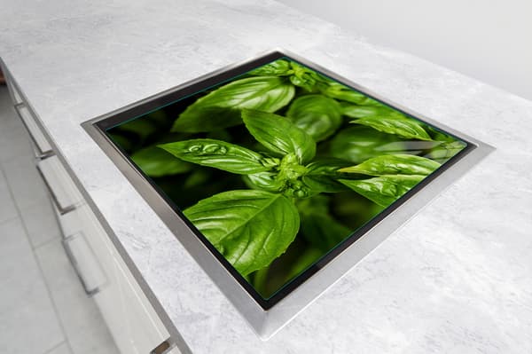 GLASBESKYTTELSESPLADE TIL KOMFUR 50x52 BASIL