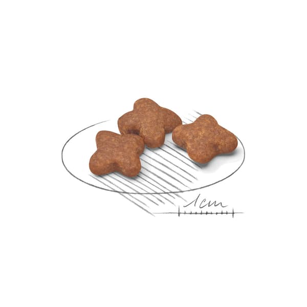 ROYAL CANIN Hundefoder Mini Adult 8 8 kg