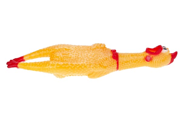 19035 Gnisslande hundleksak i gummi